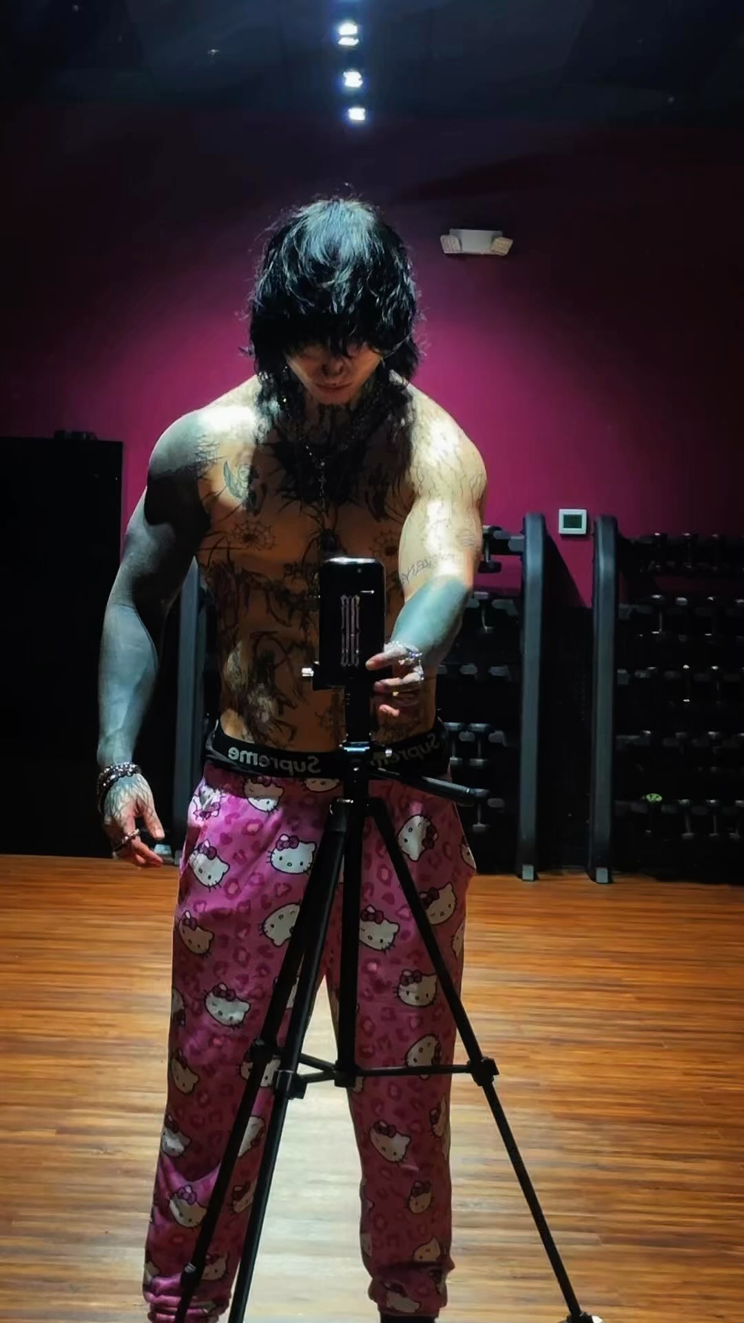 Colt training with a tripod in the gym